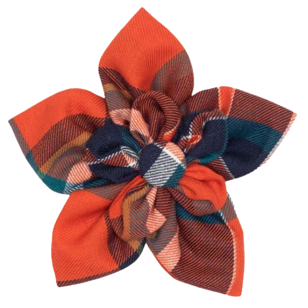 DOG-COLLAR-SLIDER-FLOWER-ORANGE-NAVY-PLAID