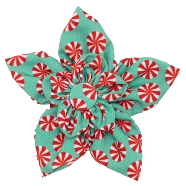 DOG-COLLAR-SLIDER-FLOWER-PEPPERMINT