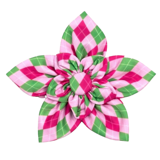 DOG-COLLAR-SLIDER-FLOWER-PINK-GREEN-ARGYLE