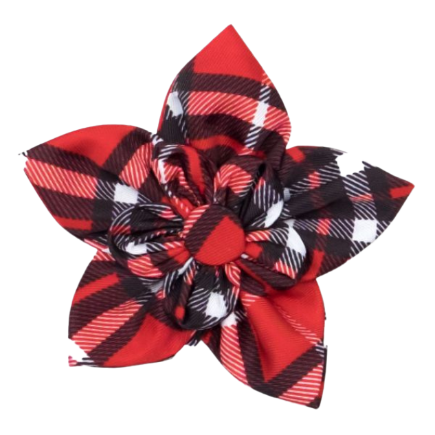 DOG-COLLAR-SLIDER-FLOWER-RED-BIAS-PLAID