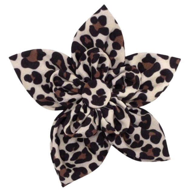 DOG-COLLAR-SLIDER-FLOWER-TAN-LEOPARD-PRINT