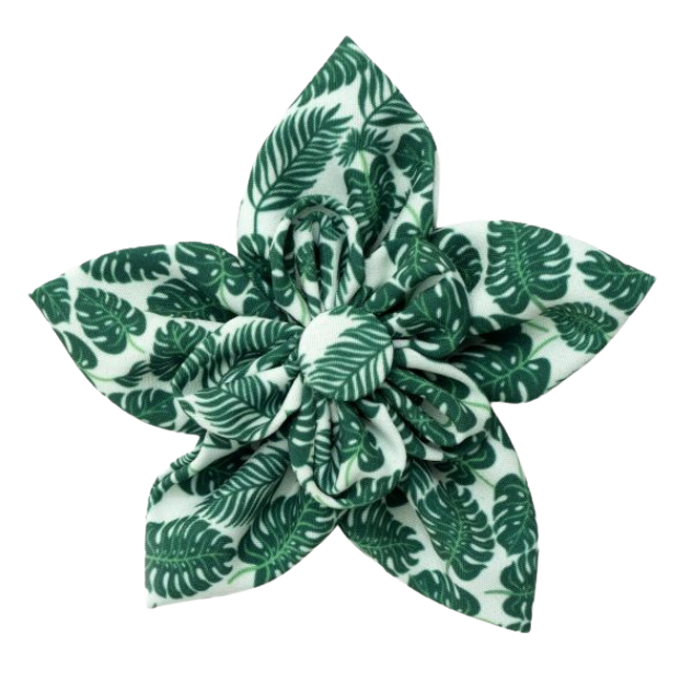 DOG-COLLAR-SLIDER-FLOWER-TROPICAL-LEAVES