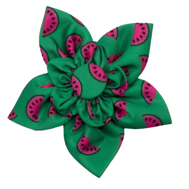 DOG-COLLAR-SLIDER-FLOWER-WATERMELON-PICNIC