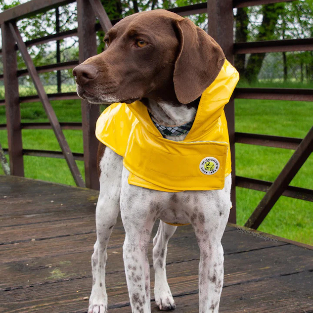 DOG-RAINCOAT-SLICKER-YELLOW-DOG-BONE