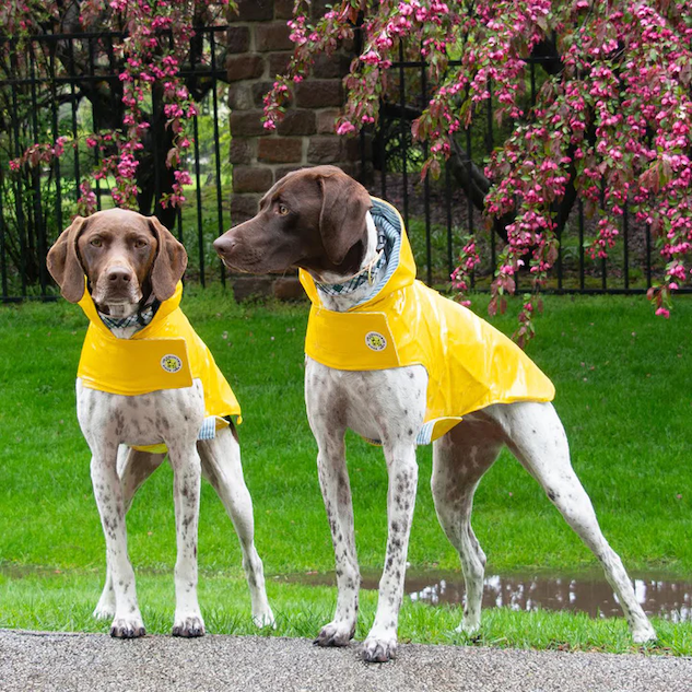 DOG-RAINCOAT-SLICKER-YELLOW-DOG-BONE