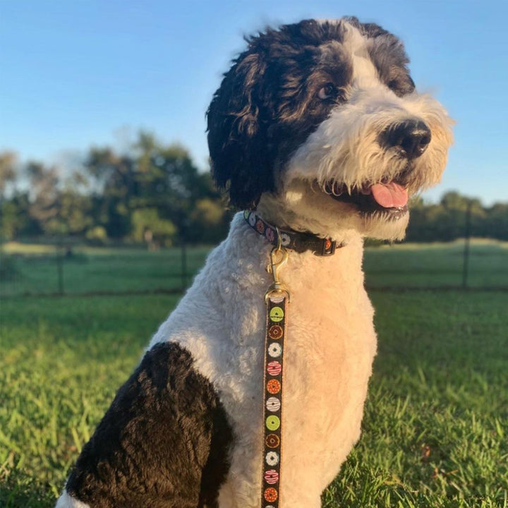 DONUTS-DOG-COLLAR-LEASH-HARNESS