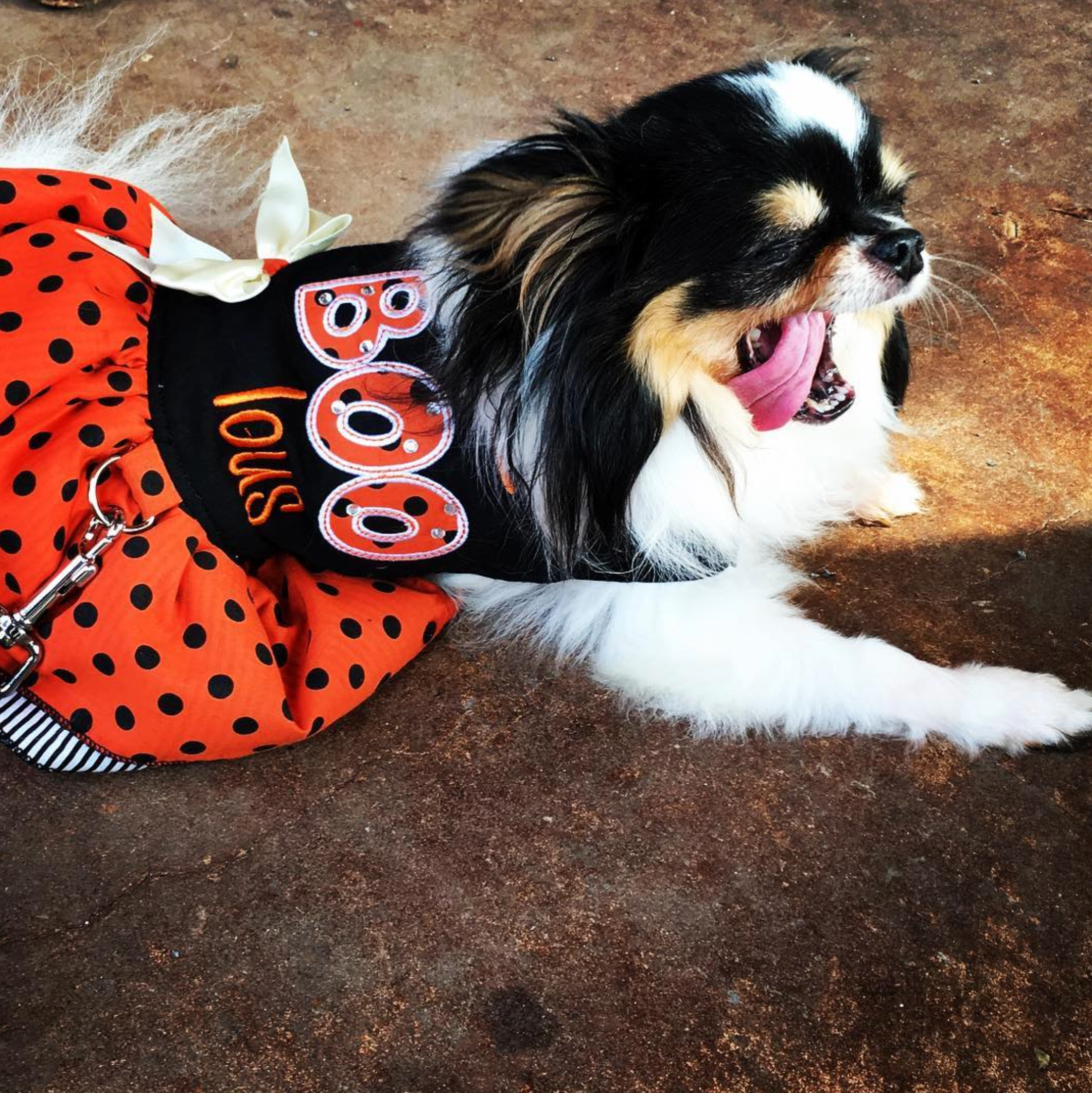 FABOOLOUS-HALLOWEEN-DOG-DRESS