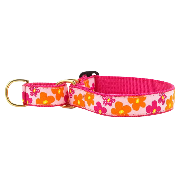 FLOWER-POWER-DOG-COLLAR-MARTINGALE-NO-PULL