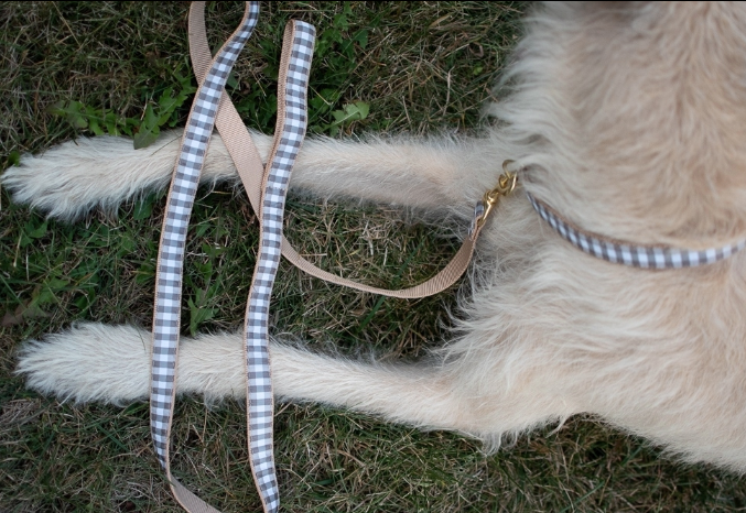 GRAY-BUFFALO-CHECK-DOG-LEASH-COLLAR-HARNESS