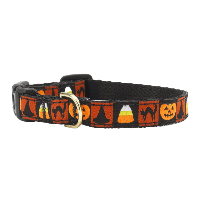 HALLOWEEN-DOG-COLLAR-SMALL-BREED-TEACUP