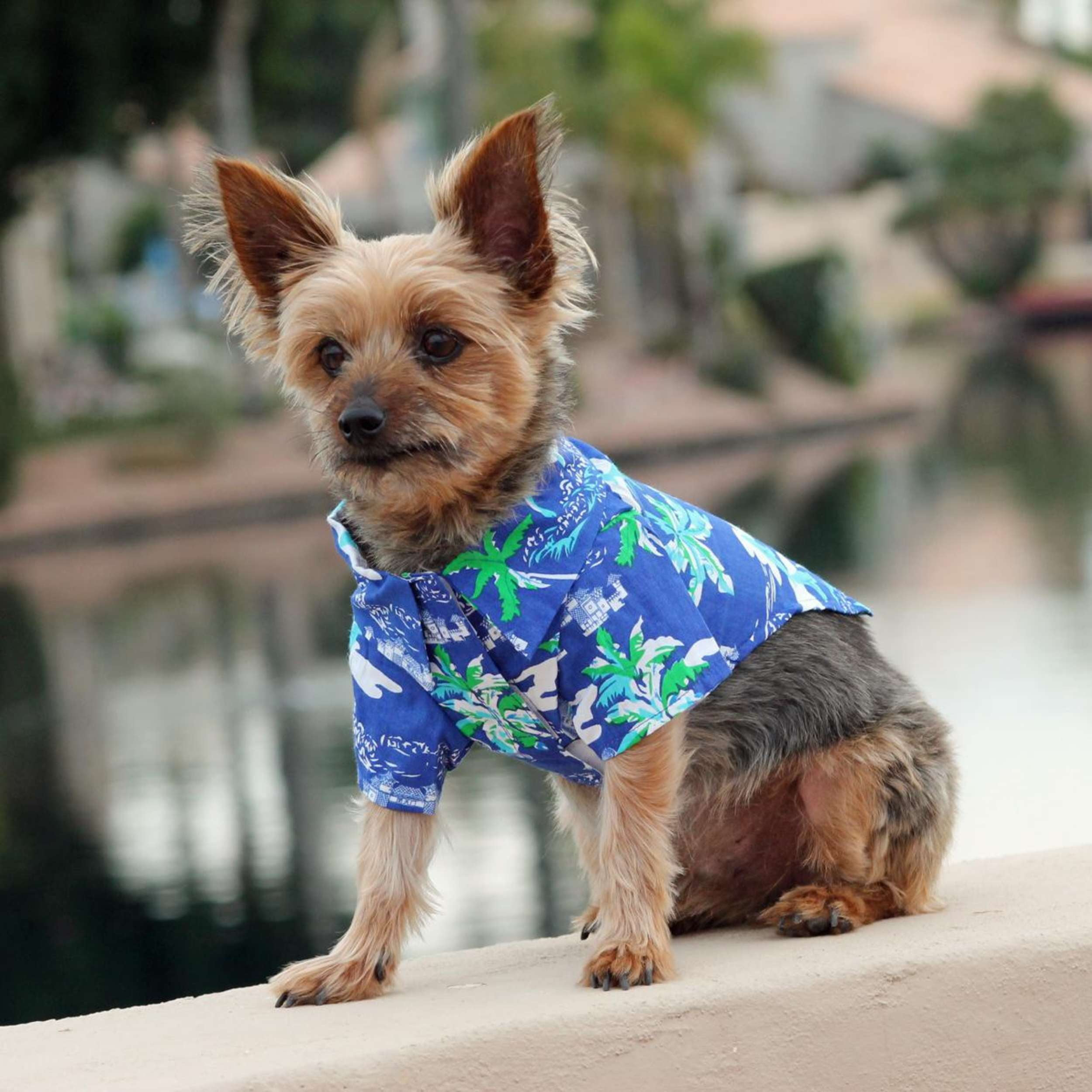 HAWAIIAN-CAMP-SHIRT-OCEAN-BLUE-PALMS