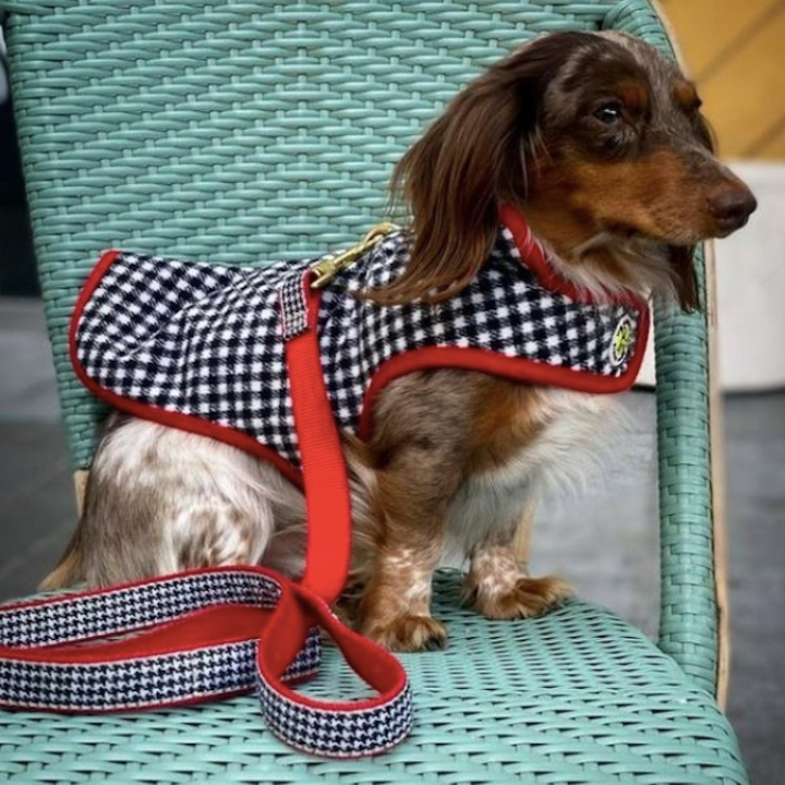 HOUNDSTOOTH-COAT-DOG-COLLAR-LEASH-HARNESS