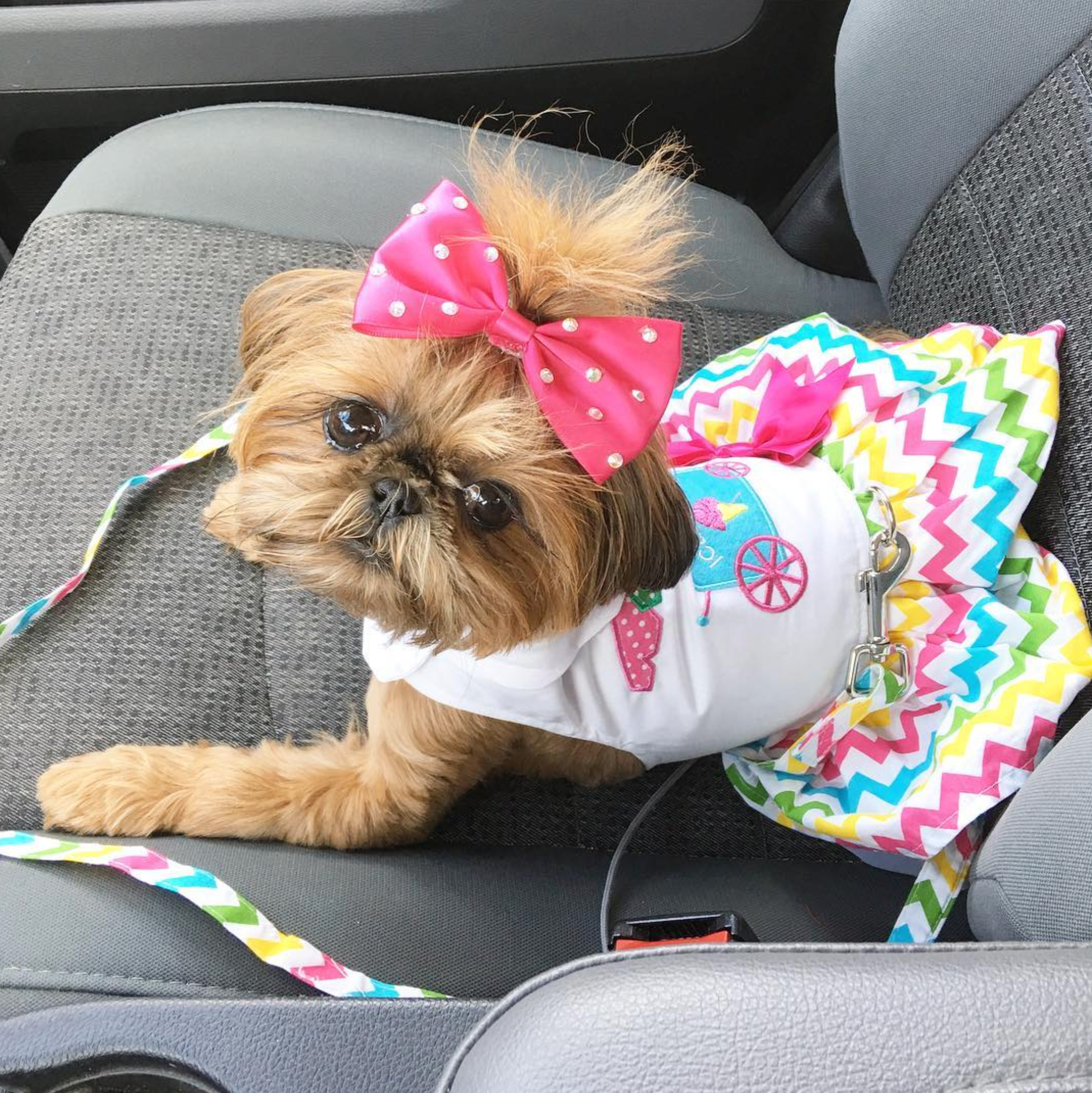 ICE-CREAM-CART-DOG-DRESS