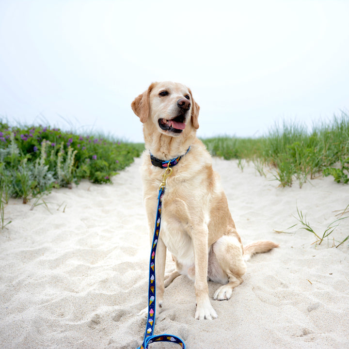 ICE-CREAM-DOG-COLLAR-LEASH-HARNESS
