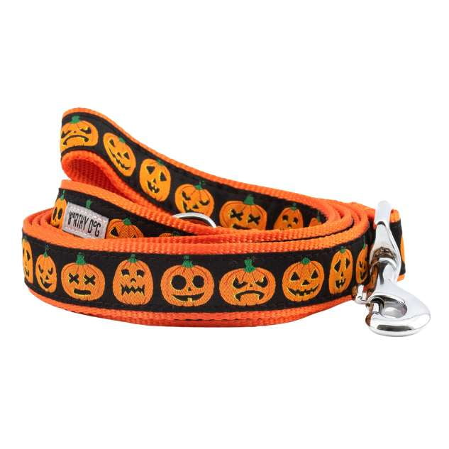 jack-o-lantern-dog-leash