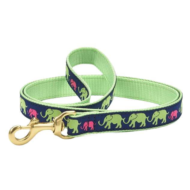 leader-of-the-pach-elephant-dog-leash