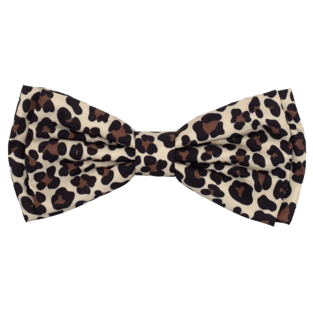 LEOPARD-DOG-BOW-TIE