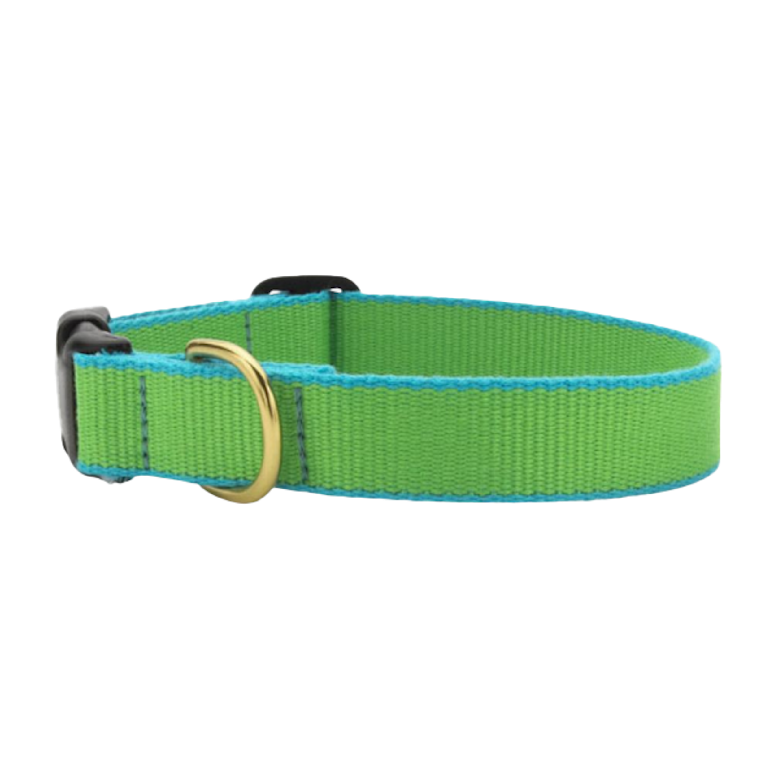 LIME-AQUA-DOG-COLLAR