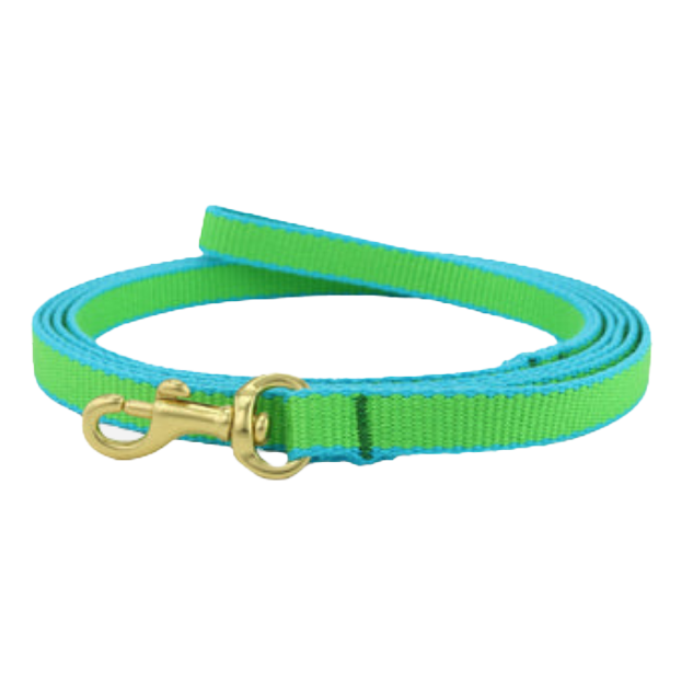 LIME-AQUA-DOG-LEASH-SMALL-BREED-TEACUP