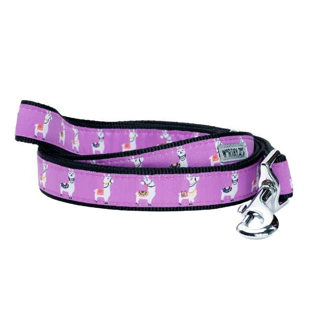 llama-dog-leash