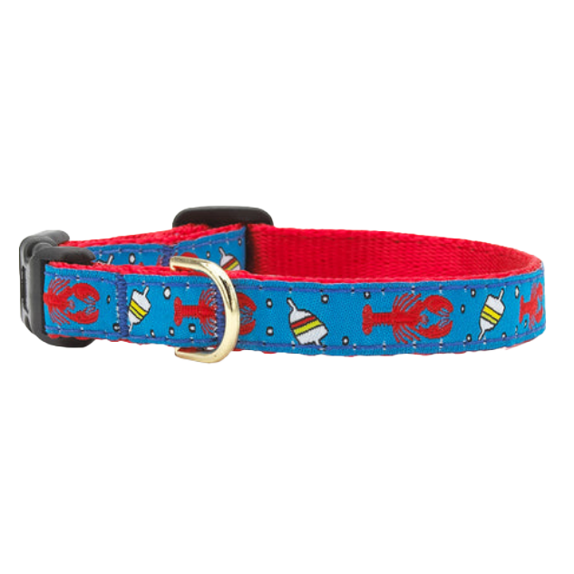LOBSTER-BUOY-DOG-COLLAR-SMALL-BREED-TEACUP