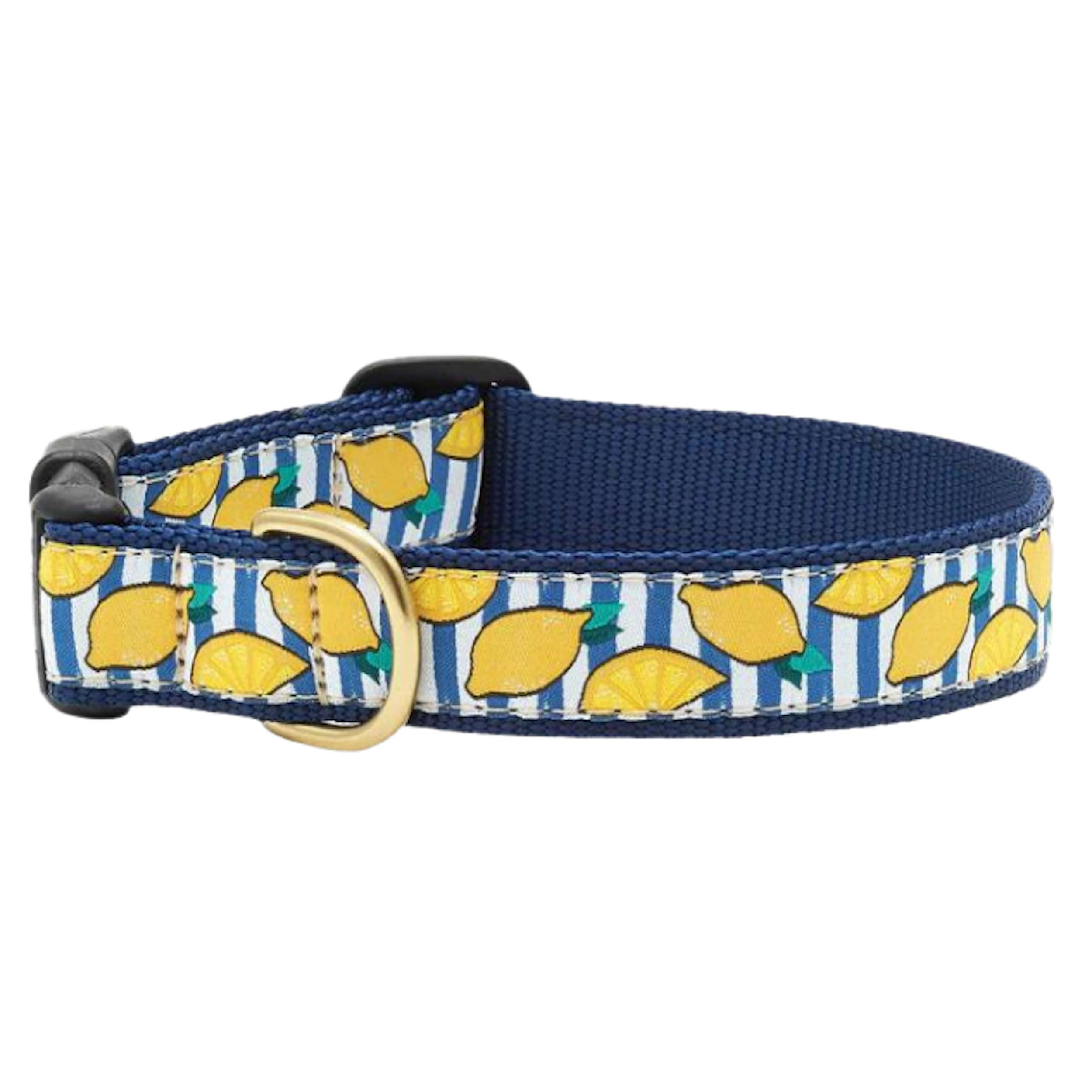 MAKE-LEMONADE-DOG-COLLAR