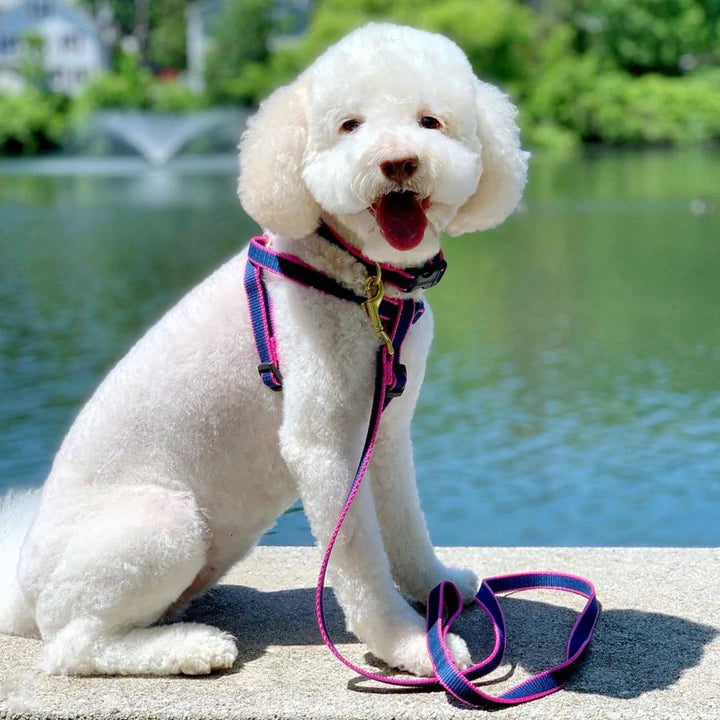 navy-pink-bamboo-dog-harness-leash