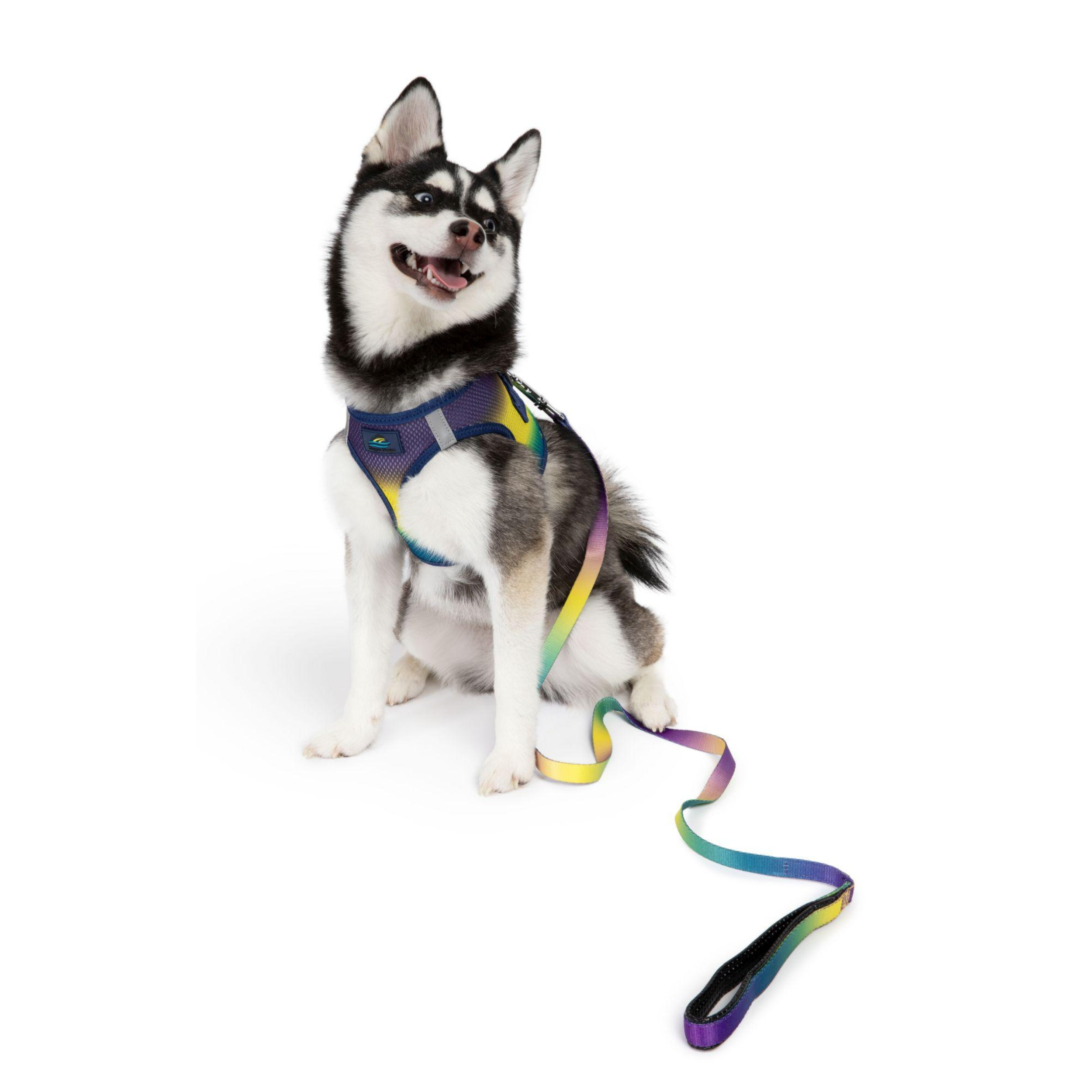 OMBRE-DOG-LEASH-COSMIC-SPLASH