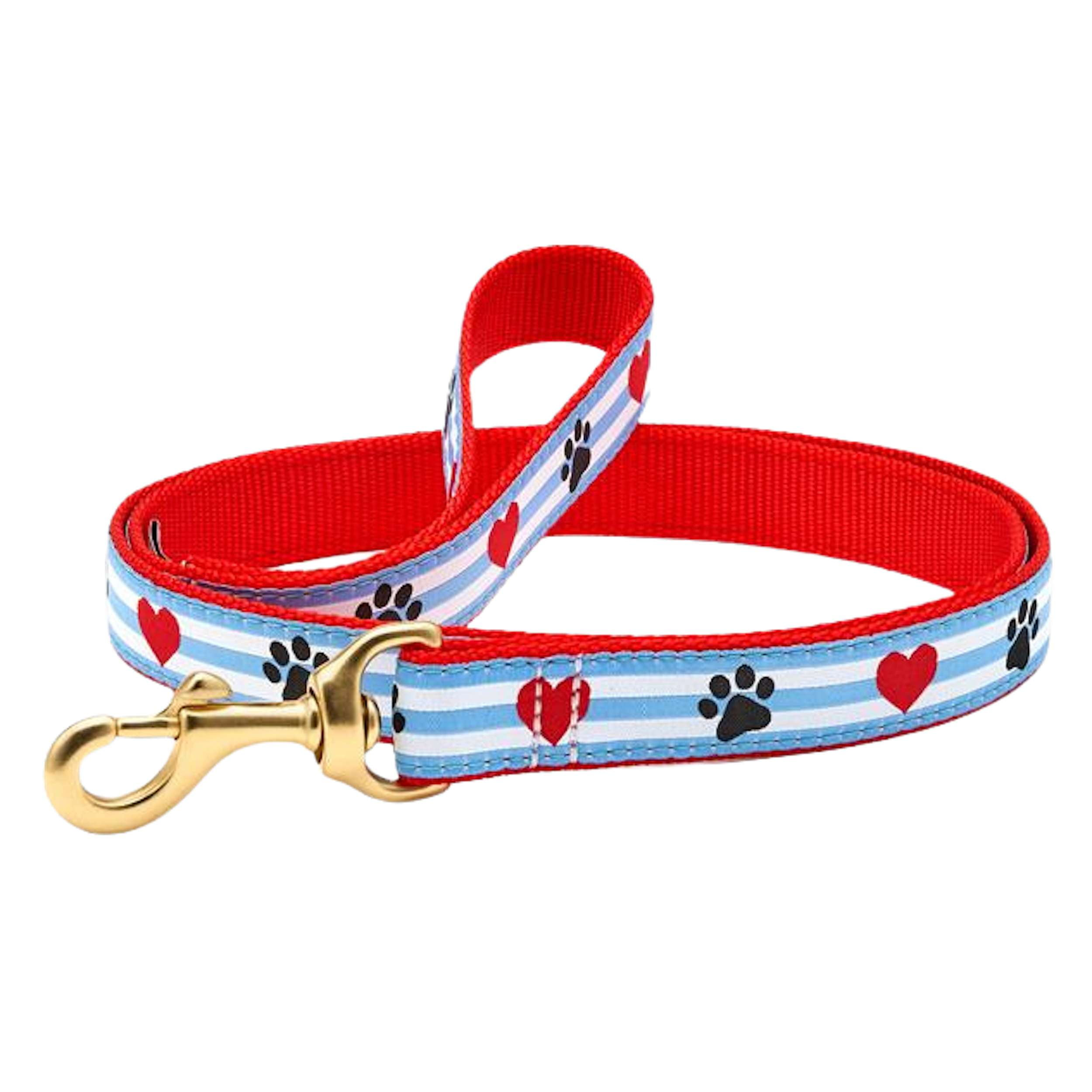 pawprint-stripe-dog-leash