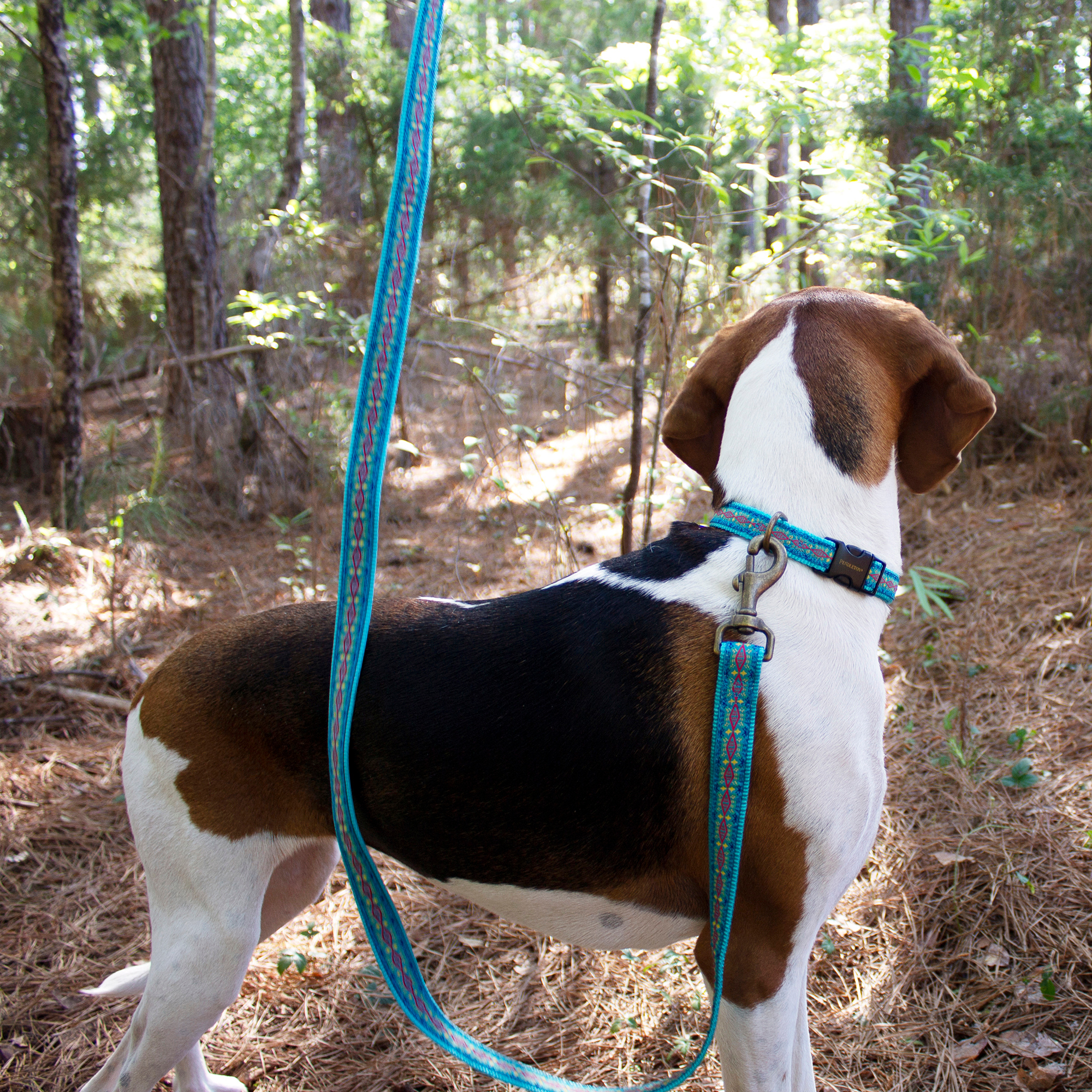 PENDLETON-DOG-COLLAR-LEASH-BLUE-DIAMOND-RIVER-TURQUOISE