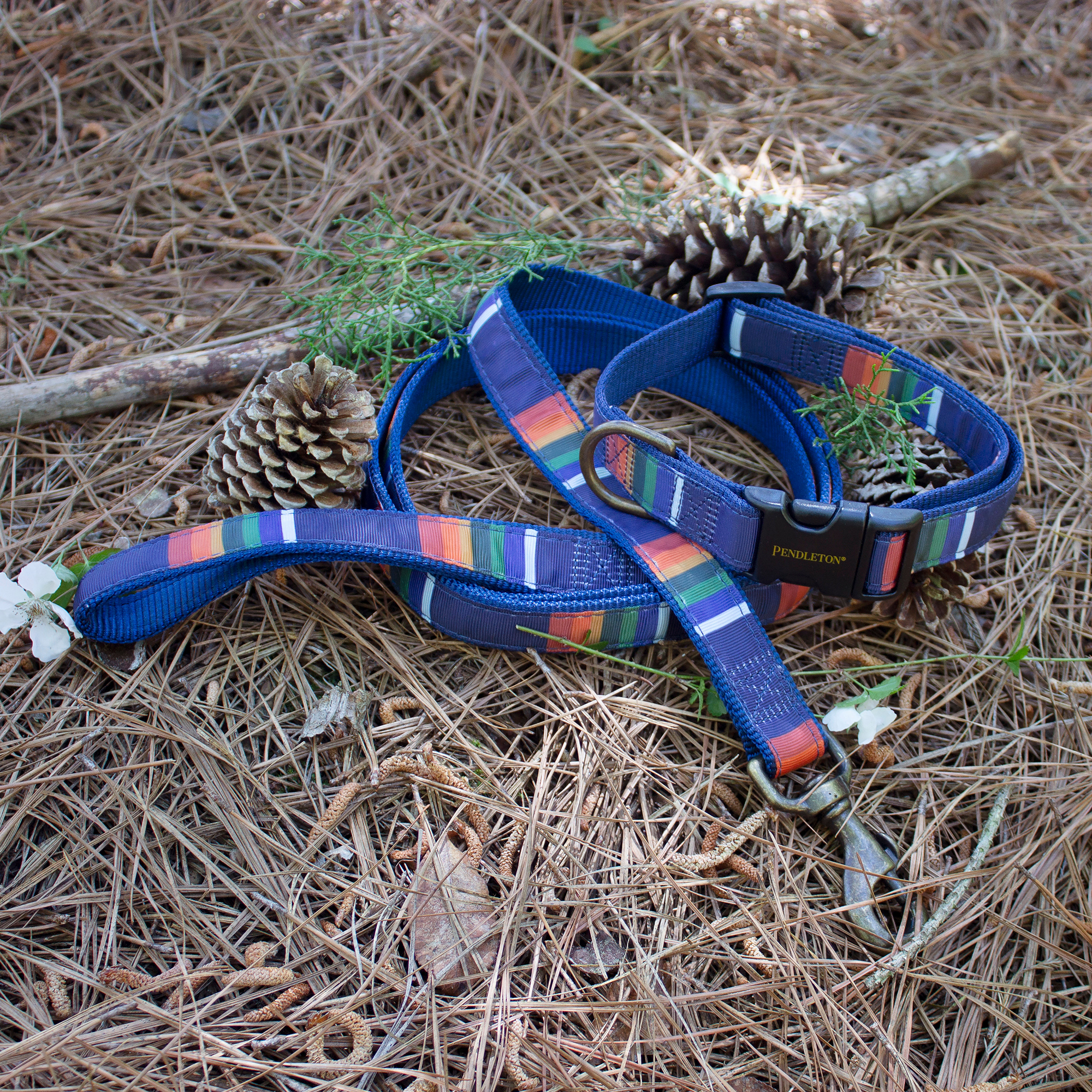 PENDLETON-DOG-COLLAR-LEASH-CRATER-LAKE-NATIONAL-PARK-BLUE-RED-ORANGE-GREEN-YELLOW