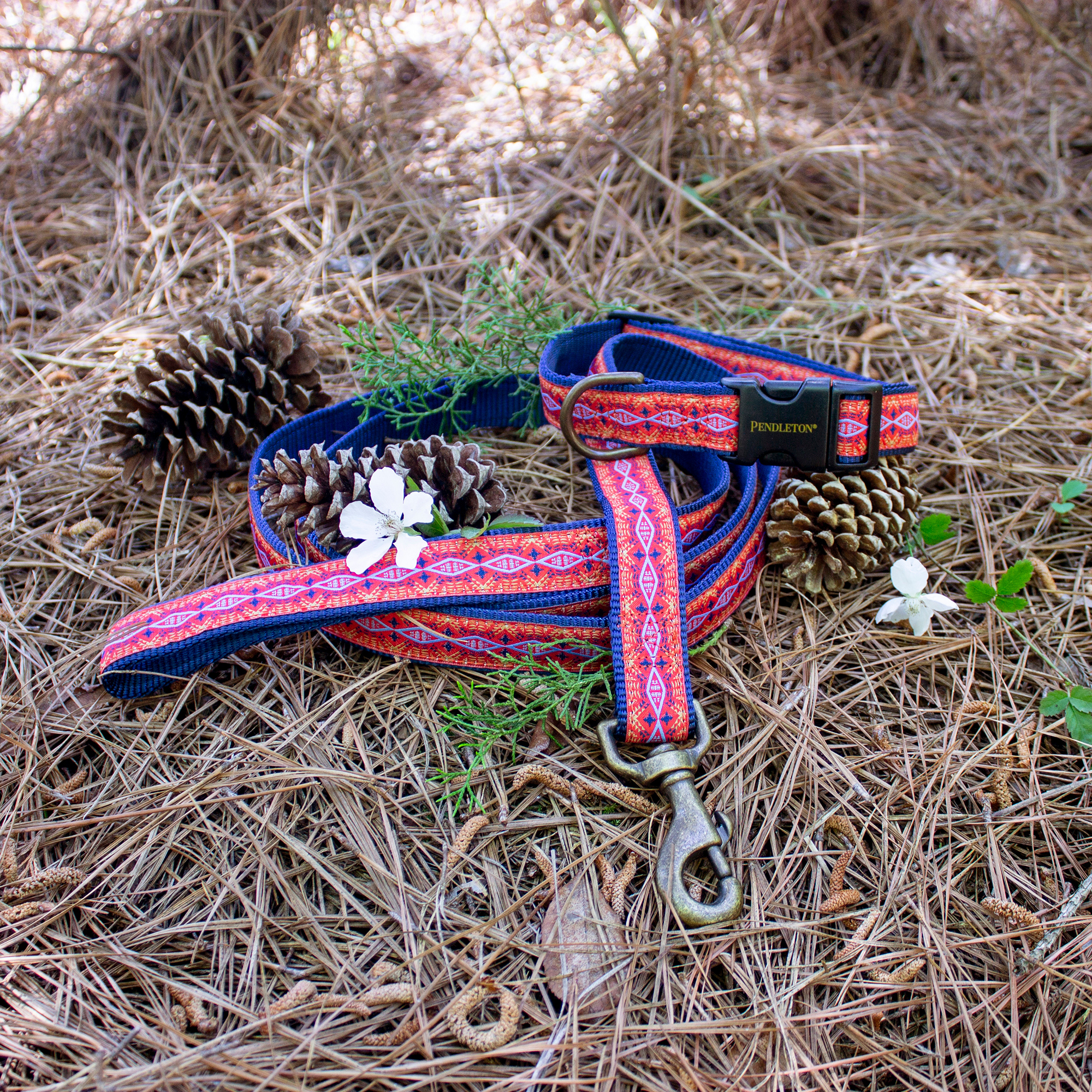 PENDLETON-DOG-COLLAR-LEASH-DIAMOND-RIVER-SCARLET-RED