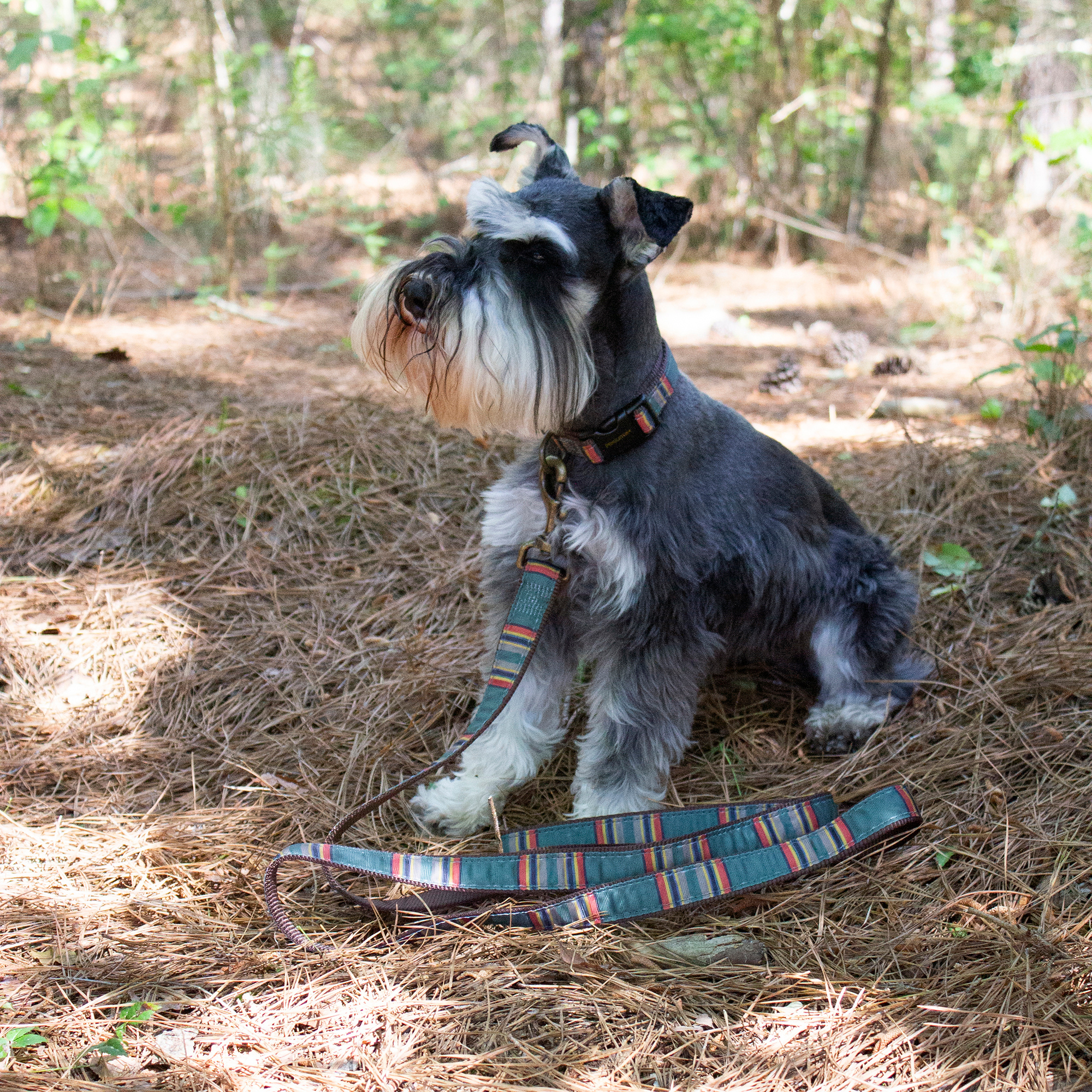 PENDLETON-DOG-COLLAR-LEASH-HEATHER-GREEN-RED-VINTAGE-CAMP