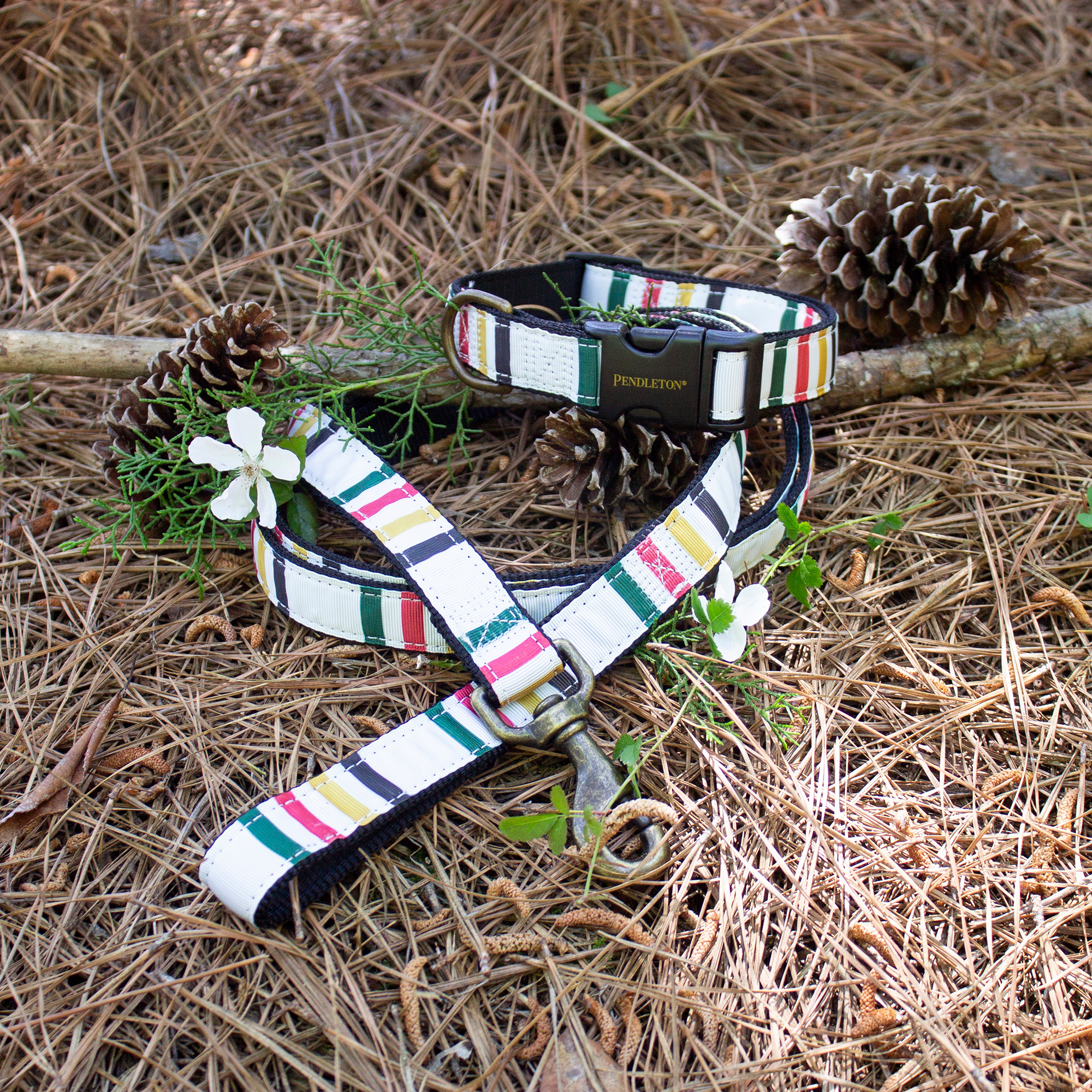 PENDLETON-DOG-COLLAR-LEASH-WHITE-RED-GREEN-YELLOW-GLACIER-NATIONAL-PARK