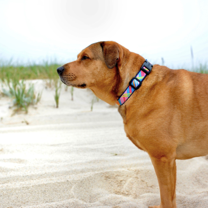 PINK-MADRAS-DOG-COLLAR