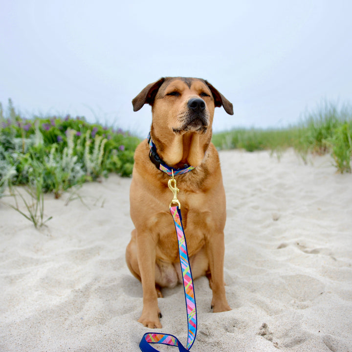 PINK-MADRAS-DOG-COLLAR-LEASH-HARNESS