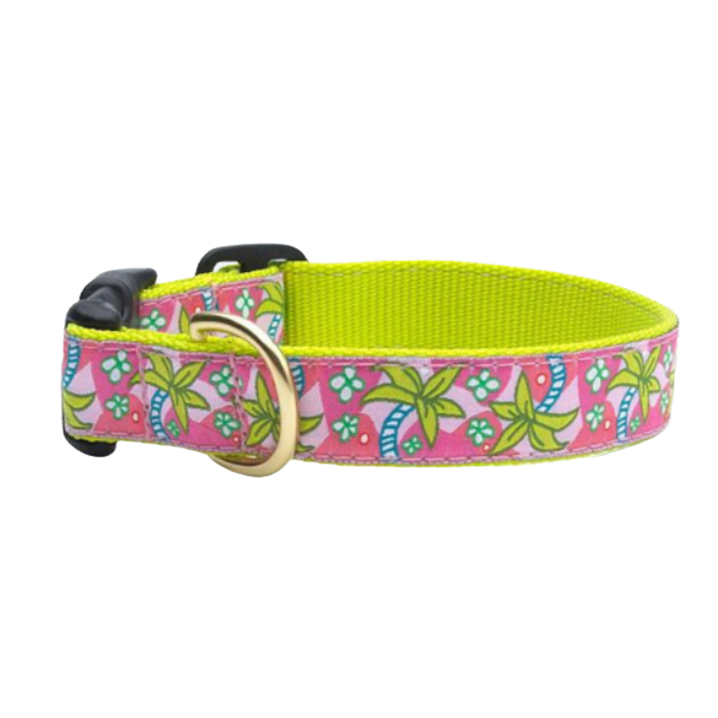 PINK-PALMS-DOG-COLLAR