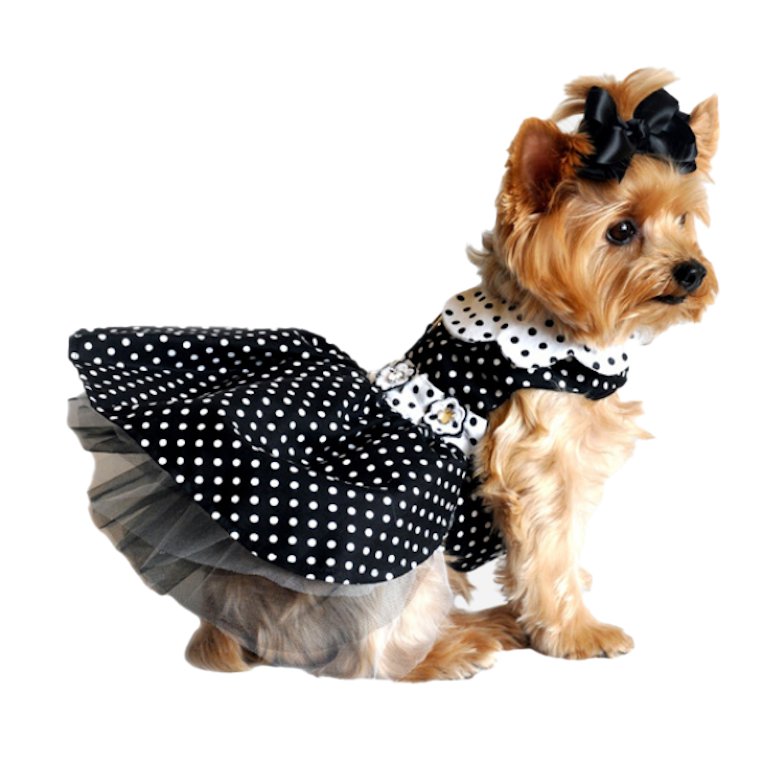POLKA-DOT-BLACK-WHITE-DOG-PARTY-DRESS-BOULDERBARKS