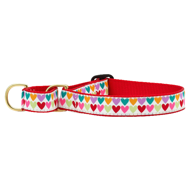 POP-HEARTS-DOG-COLLAR-MARTINGALE-NO-PULL