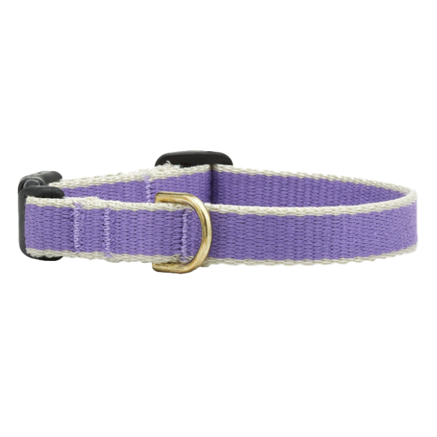 PURPLE-GRAY-DOG-COLLAR-SMALL-BREED-TEACUP