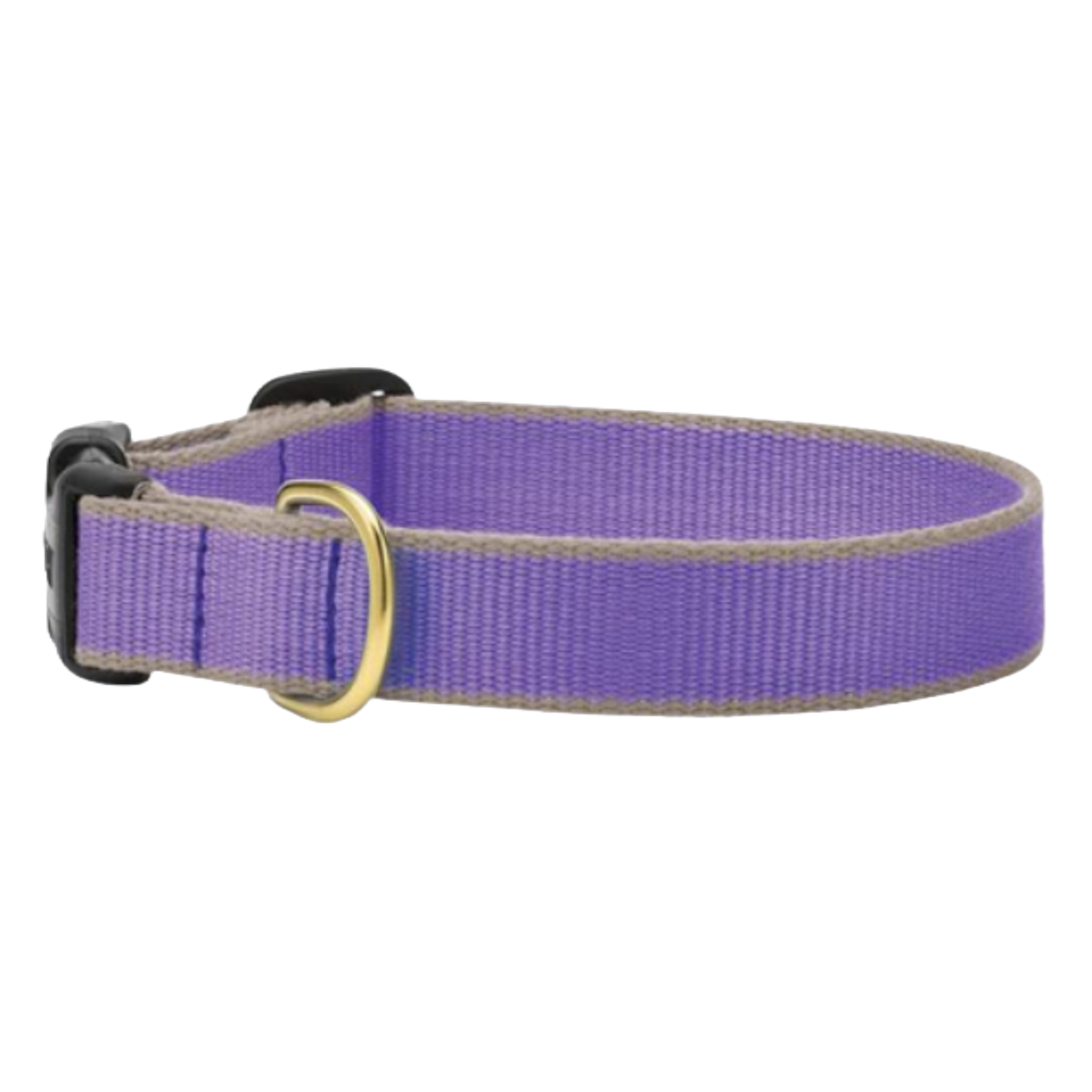 PURPLE-GRAY-DOG-COLLAR