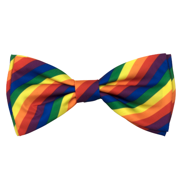 RAINBOW-DOG-BOW-TIE