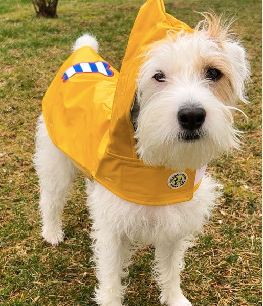 RAINCOAT-SLICKER-DOG-COAT