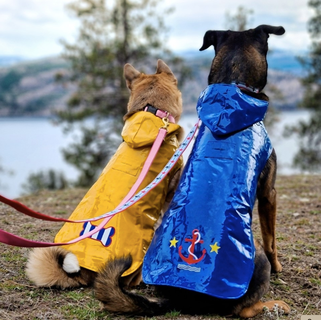 RAINCOATS-DOG-ANCHOR-YELLOW-BONE