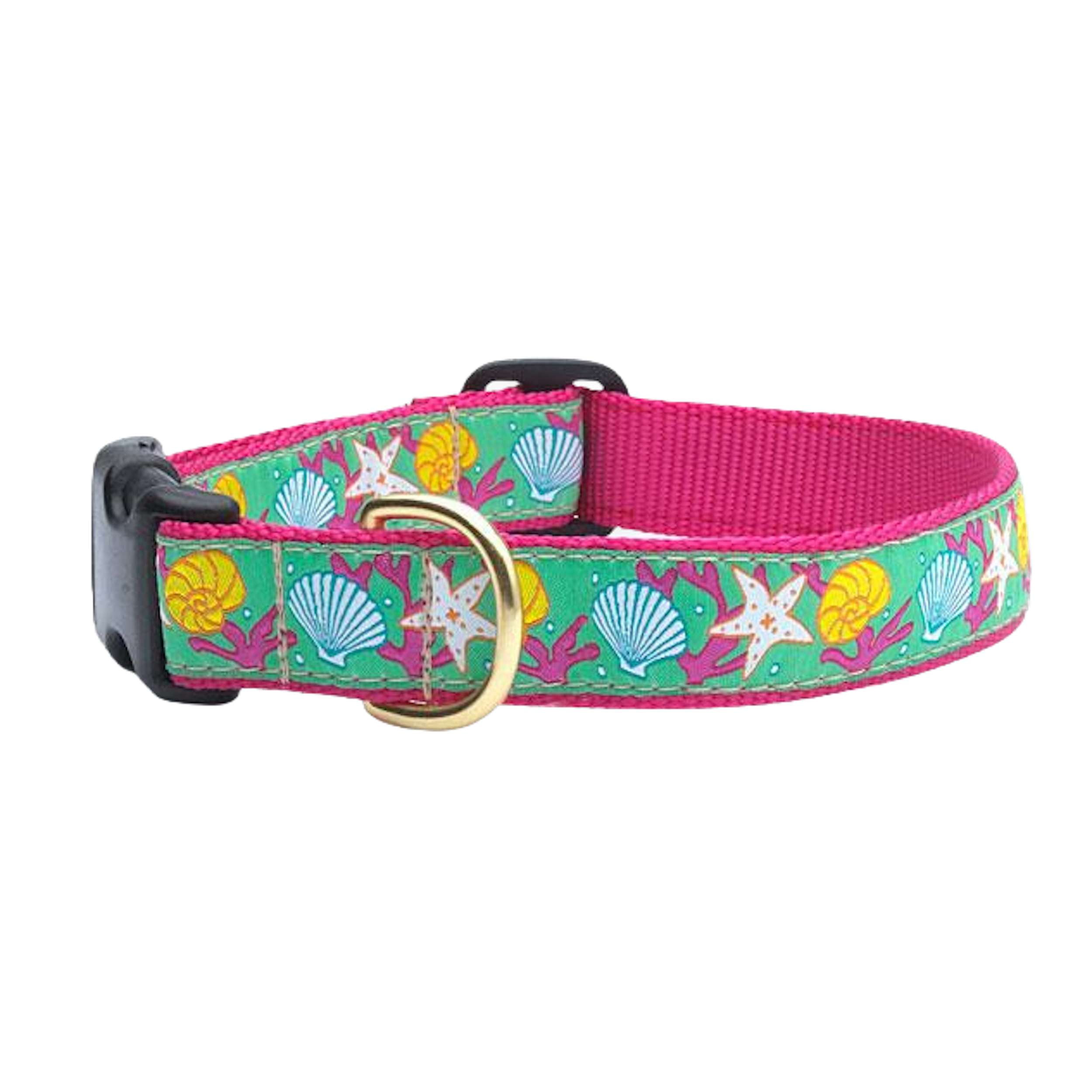 REEF-DOG-COLLAR