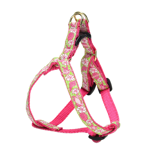 SEALIFE-DOG-HARNESS-SMALL-BREED-TEACUP