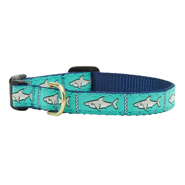 SHARKS-DOG-COLLAR-SMALL-BREED-TEACUP