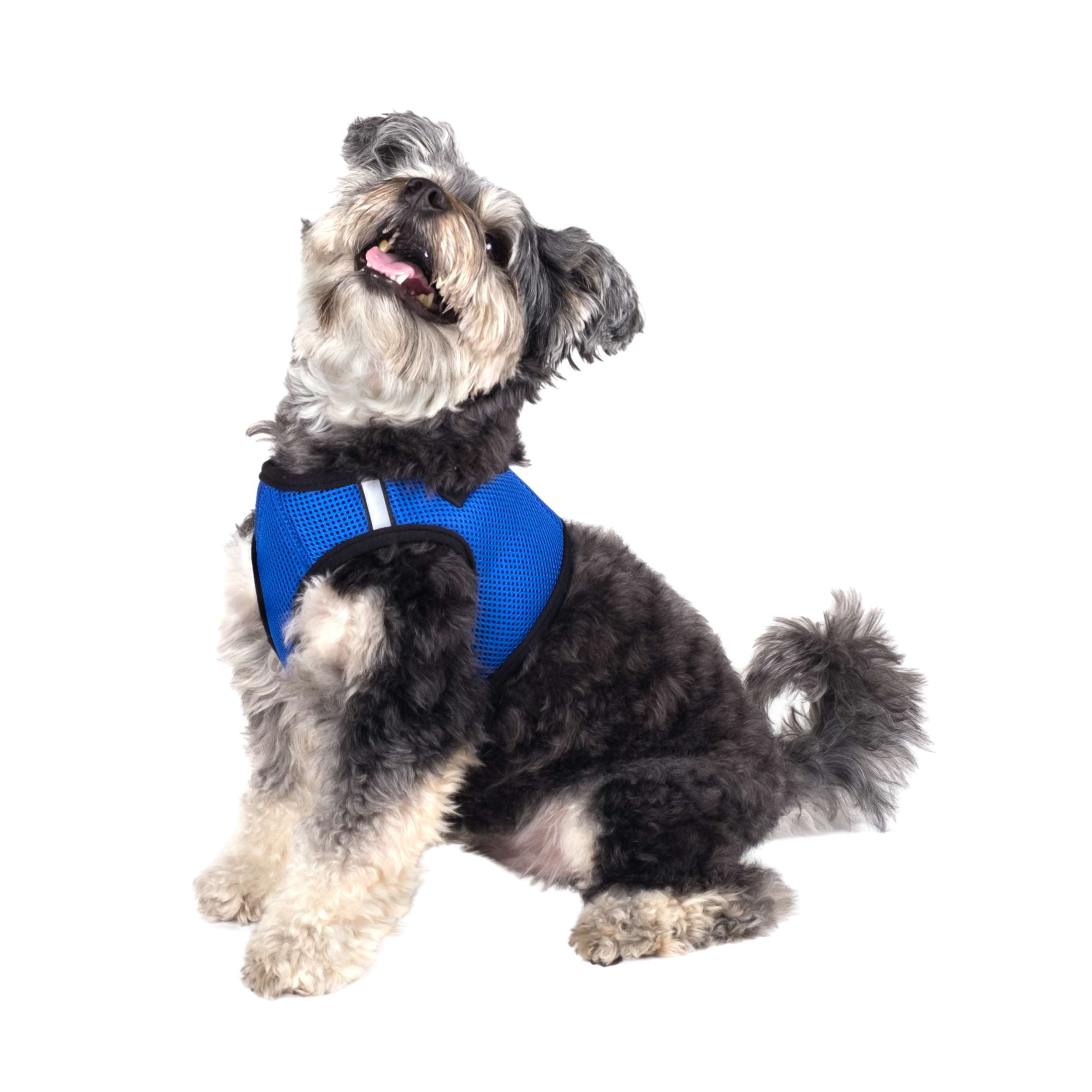 SIDE-KICK-DOG-HARNESS-BLUE