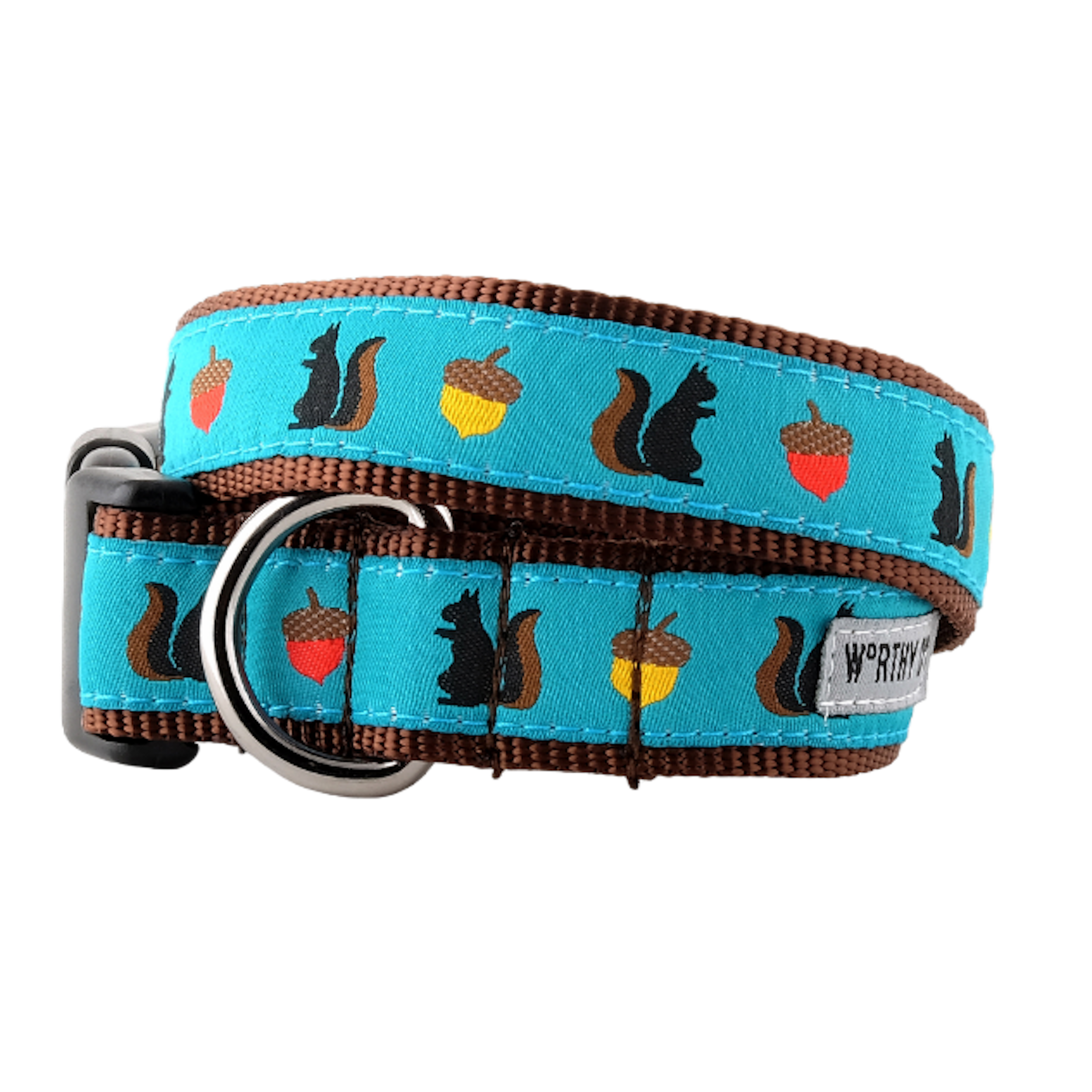 SQUIRRELY-DOG-COLLAR