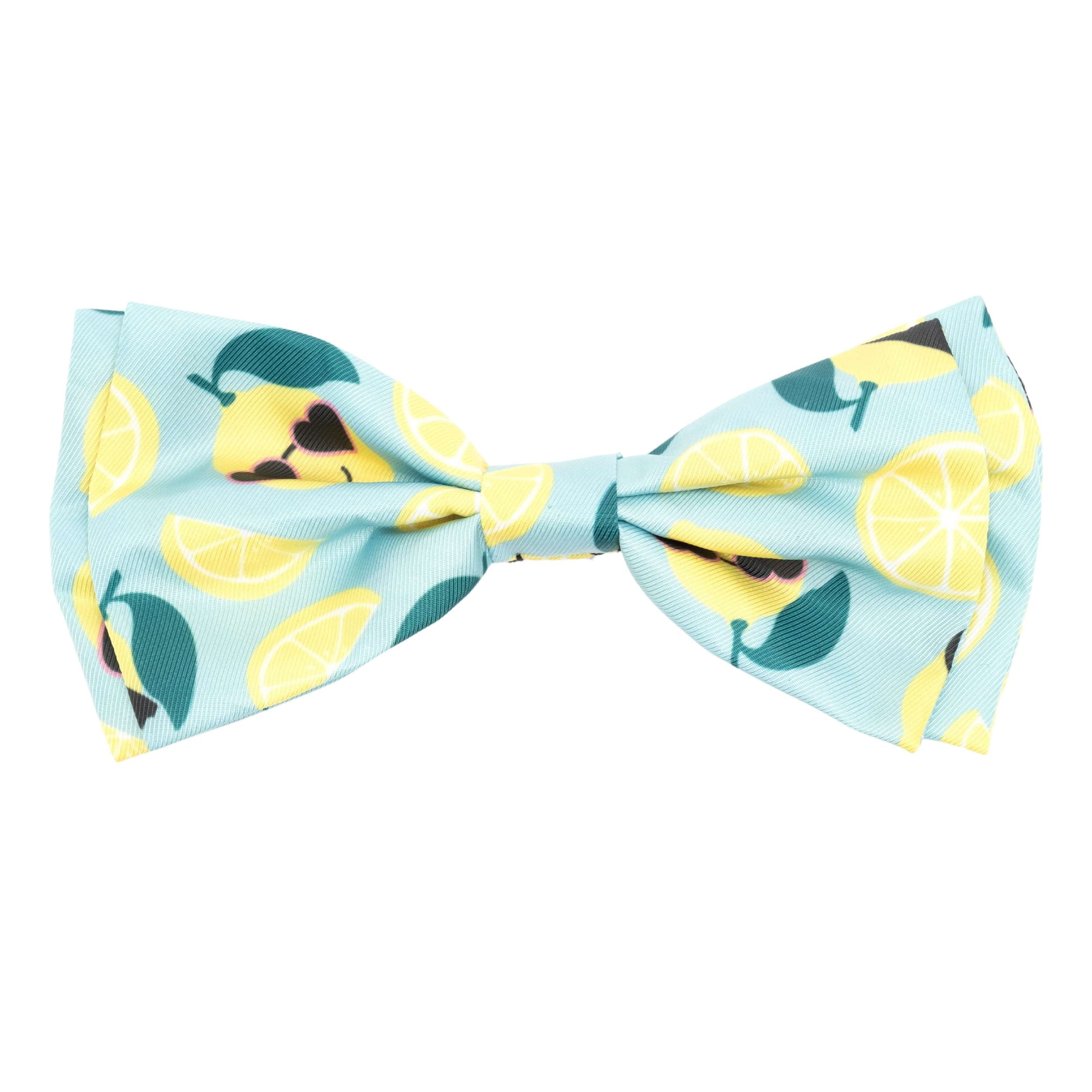 SUNNY-LEMONS-DOG-BOW-TIE